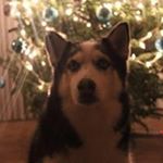 Profile Picture of Cory Shaver (@coryshaver9) on Instagram