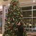Profile Picture of Catlin Scott (@catlinscott) on Pinterest