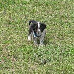 Profile Picture of Jeffrey Pressley (@jeffreypressley1) on Instagram