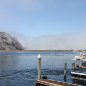 Profile Picture of Amanda Hamm (@amandahamm624) on Youtube