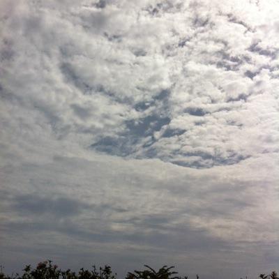 Profile Picture of Bento Mark (@mark_bento) on Twitter