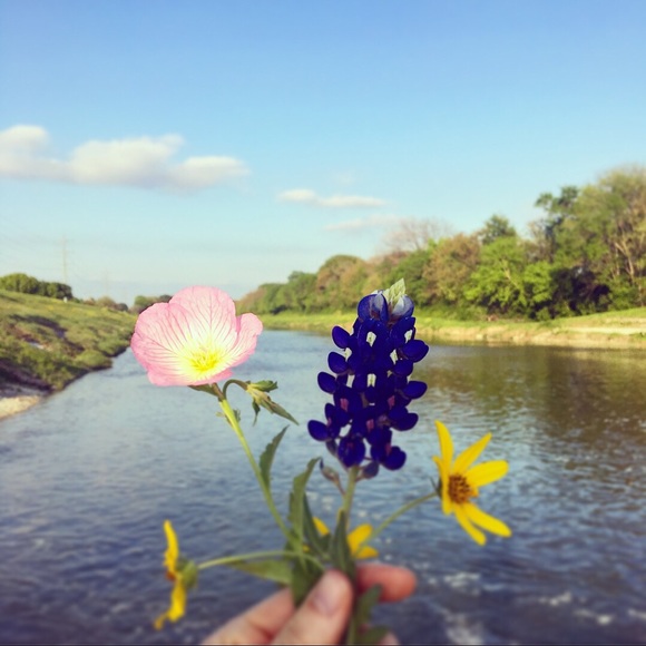 Profile Picture of Sarah Stabenow (@jeanne0940) on Poshmark