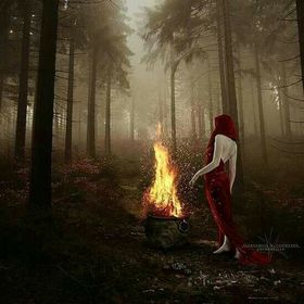 mandy rogalski - Pinterest Profile Picture of mandy rogalski (@sweetrogalski) on Pinterest