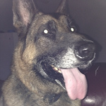 Profile Picture of Nukeroth (@nukeroth) on Flickr