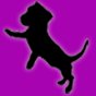 Profile Picture of Ricardo Piccolo (@ricardo.piccolo.121) on Facebook