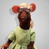 Profile Picture of Amber (@@amber.derby) on Tiktok