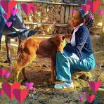Profile Picture of Dibora Mogos (@Dibora-Mogos) on Facebook