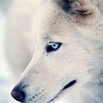 Profile Picture of Kevin Ridenour (@kevinridenour51) on Instagram
