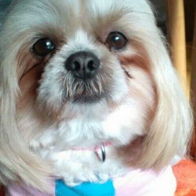 Profile Picture of Setsuko Sato (@setsukosato8715) on Twitter