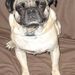Profile Picture of Larry Haberstick (@larryhaberstick) on Pinterest
