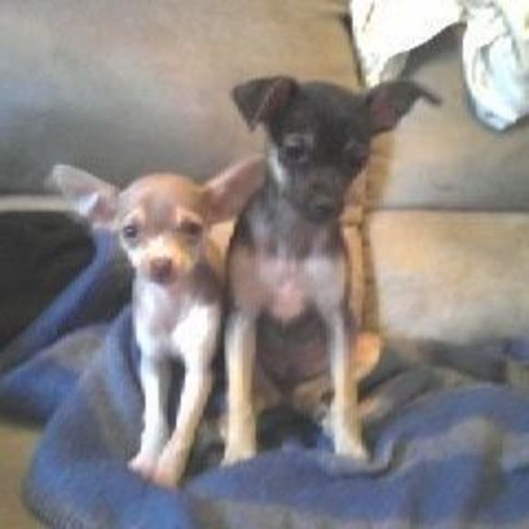 Profile Picture of Janet Bishop (@jbishop704) on Poshmark