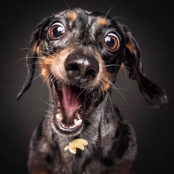 Profile Picture of Ivan Apodaca (@apodacaivan56) on Poshmark