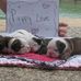 Profile Picture of Tammy Holbert (@tammy.holbert.566) on Facebook