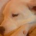 Profile Picture of Jonathan Hocking (@jonathan.hocking.1) on Facebook
