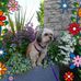 Profile Picture of Roberta Drover (@roberta.drover.3) on Facebook
