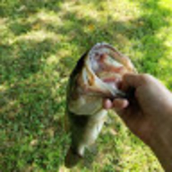 Matthew Kirka - Poshmark Profile Picture of Matthew Kirka (@mattkirka926) on Poshmark