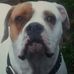Profile Picture of Geoff Carney (@geoff.carney.73) on Facebook