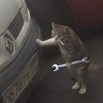 Profile Picture of Joshua M (@joshua_mariner) on Instagram