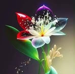 Profile Picture of Clara Ortis (@Clara-Ortis) on Facebook