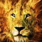 Profile Picture of Shelby Alvarez (@shelbyalvarez68) on Twitter