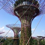 ~Nathan Masters~ - Instagram Profile Picture of ~Nathan Masters~ (@_nathan.masters_) on Instagram