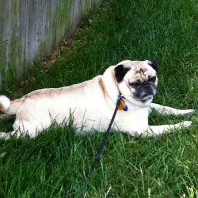 Profile Picture of Megan Lafferty (@Megan_Laff) on Twitter