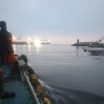 Ian Lascuña - Facebook Profile Picture of Ian Lascuña (@Ian-Lascuña) on Facebook