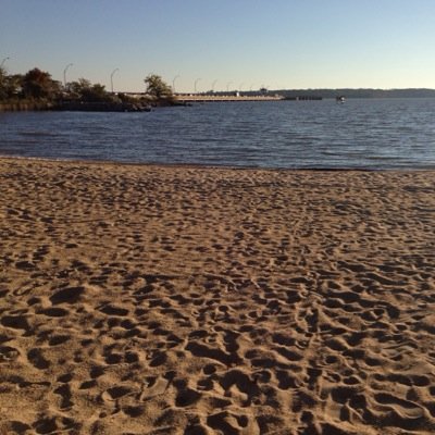 Profile Picture of Amy Groff (@aokgroff) on Twitter