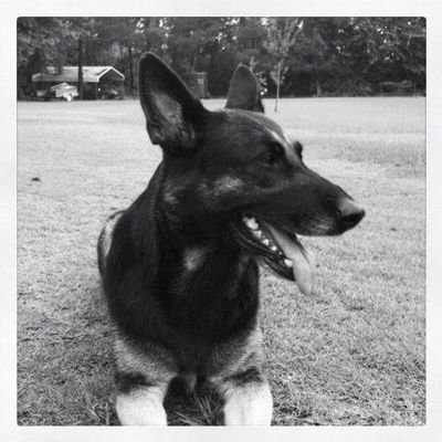 Cynthia Graham - Twitter Profile Picture of Cynthia Graham (@ClassAPro) on Twitter