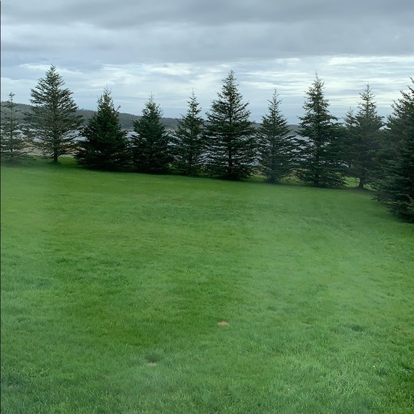 Charlene Luddington - Poshmark Profile Picture of Charlene Luddington (@cmludd1) on Poshmark