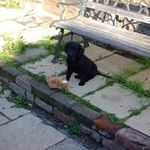 tori compton - Instagram Profile Picture of tori compton (@tori.comp) on Instagram