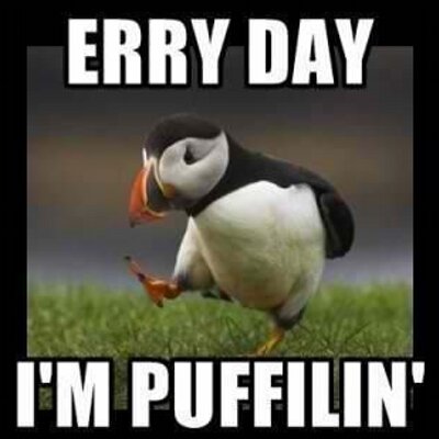 Profile Picture of Chasity Dyer (@codyrhodes_luv) on Twitter