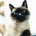 Kobuchi_yoko - Flickr Profile Picture of Kobuchi_yoko (@kobuchi_yoko) on Flickr