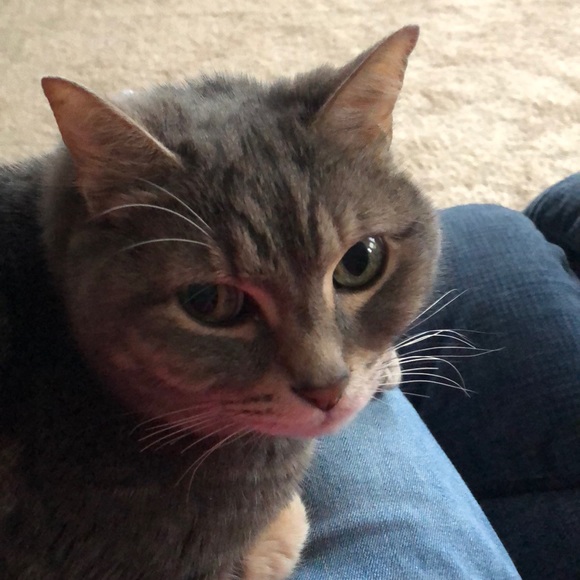 Profile Picture of Patty Logsdon (@pklogsdon) on Poshmark