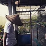 Profile Picture of Kevin Neilson (@neilsonz_) on Instagram
