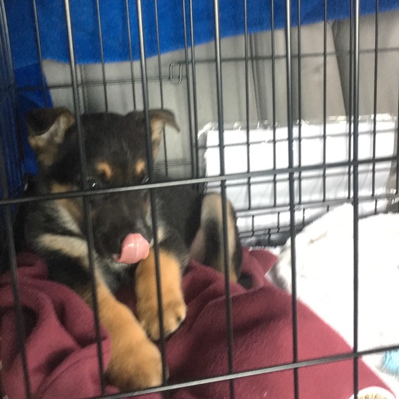 Profile Picture of Alex Mortensen (@alexmort) on Poshmark