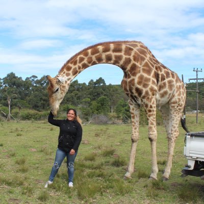 Profile Picture of Rocio Aleman (@rocioa_) on Twitter