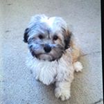 Profile Picture of Ruby Diaz (@red_gem_8_0_8) on Instagram