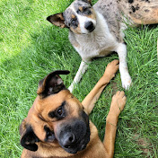 Profile Picture of TaMara Edens (@tamaraedens4239) on Youtube