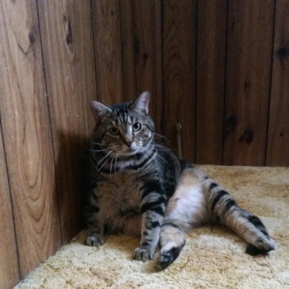 Profile Picture of Christine Coby (@smplyrd) on Poshmark