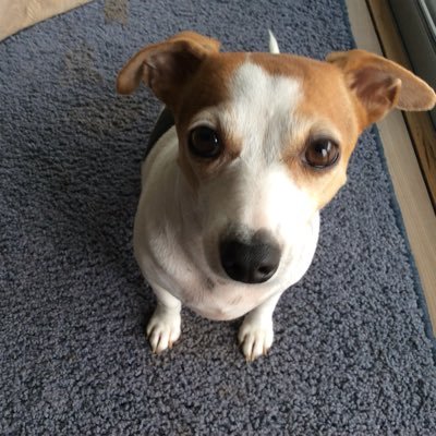 Profile Picture of 💧Bobbie (@Bobduff1) on Twitter