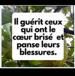 Profile Picture of Eugène Louis (@Eugène-Louis) on Facebook