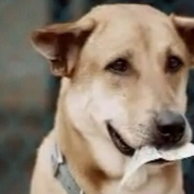 Jason Tweed - Twitter Profile Picture of Jason Tweed (@snazzydadlol) on Twitter