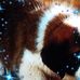 Profile Picture of Jeffrey Siegman (@jeffrey.siegman.39) on Facebook