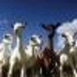Profile Picture of Jason Blue (@375919766) on Myspace
