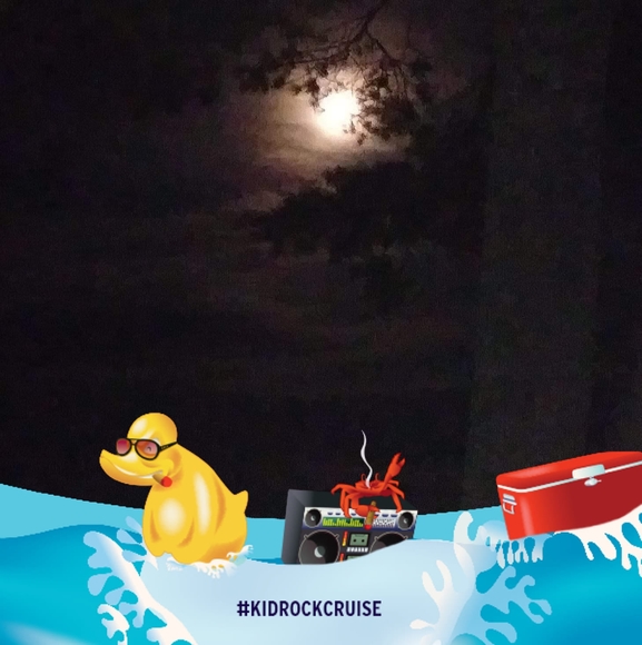 Profile Picture of Tammy Rantala (@tammyrantala) on Poshmark