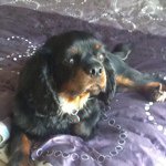 Profile Picture of Andrew Blanc (@ablanc45) on Instagram