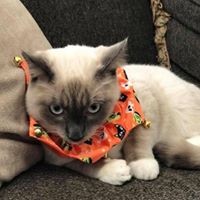 Profile Picture of Tabitha Garrison (@tabitha-garrison-4) on Quora