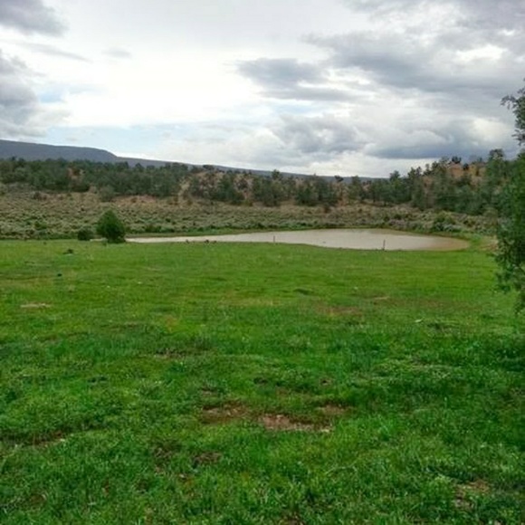 Profile Picture of Brandon Casaus (@bcasaus1) on Poshmark