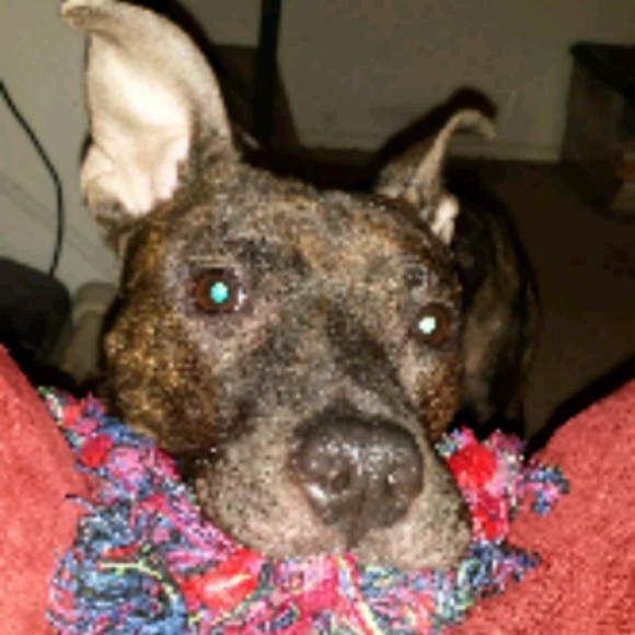 Donna Cutrera - Poshmark Profile Picture of Donna Cutrera (@dmcutrera) on Poshmark